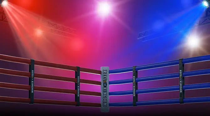 Big Bass Boxing Bonus Round